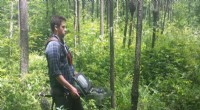 Deer Impact on Forest Canopies: A Laser-Based Long-Term Study