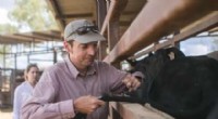 Accurate Cattle Ageing with Tail Hair DNA Sequencing - UQ Research