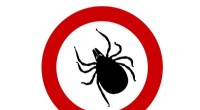 Remarkable Tick Longevity: 27 Years Without Feeding | Biological Sciences