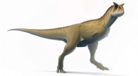 Guemesia ochoai: Newly Discovered Armless Dinosaur Species in Argentina