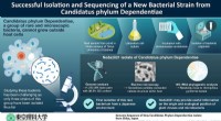 Novel Bacterial Strain Sequencing Reveals Insights from Metagenomics