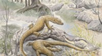 New Fossil Evidence Confirms Asian Origin of Monitor Lizards