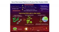 Boosting Plant Stress Resistance: Advancements in KODA Production