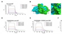 Melatonin s Citrate Synthase Inhibition of Gram-Negative Bacteria