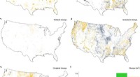 Land Cover Change & Bird Biodiversity: Predicting Species Extinction Risk