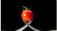 Haplotype Analysis Reveals Genetic Insights into Tomato Fruit Weight and Composition