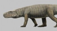 Ancient Crocodile Ancestor Discovered: New Fossils Shed Light on Evolution