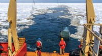 Antarctic Research: Warming Waters Linked to Declining Fish Populations