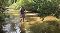 Blue Mountains River Recovery: A Remarkable Environmental Success Story