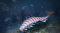 New Opabinia Relative Discovered: A Century of Cambrian Fossil Finds