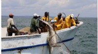 Gabon s Marine Protected Areas: A Model for Ocean Conservation