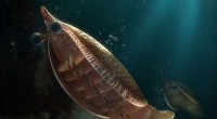 Ancient Fossil Uncovers Origins of Arthropod Gills