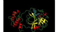 Virtual Screening Identifies Novel Compounds to Combat SARS-CoV-2 Main Protease