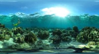 Decoding Coral Reefs: New Insights from Taste and Smell