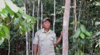 Saving Asia s Threatened Trees: The Power of Coordinated Conservation
