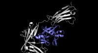 AI Predicts Protein Interactions with Unprecedented Speed and Accuracy