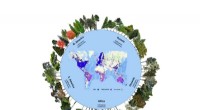 Hidden Biodiversity: Scientists Estimate 9,200 Undiscovered Tree Species