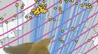 How Birds Use Earth s Magnetic Field for Navigation During Migration