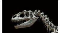 AI Revolutionizing Dinosaur Fossil Analysis: New Research