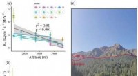 Understanding Forest Dynamics & Climate Change in the Qilian Mountains