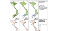 Climate Change Impacts on Crop Suitability: Coffee, Cashew & Avocado Regions