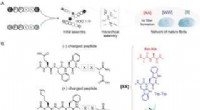 Peptide Materials Engineering: A Molecular Framework for Bridging Experiment and Computation