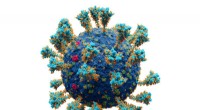 SARS-CoV-2 & Endogenous Retroviruses: A New Link in Human Disease?