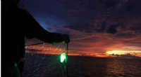 Lighted Fishing Nets: Reducing Bycatch & Boosting Efficiency