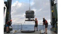 How Marine Microbes Adapt to Limited Ocean Resources with Shift Work