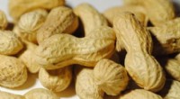 Disease-Resistant Peanut Hybrids Developed by Researchers