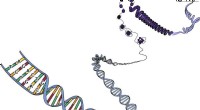 Advanced Mutation Detection: Identifying On- and Off-Target Effects