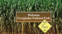 Biden Administration Invests $1.1 Billion in Everglades Restoration