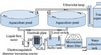 Electrocoagulation for Enhanced Microscreen Drum Filter Efficiency in Recirculating Aquaculture Systems