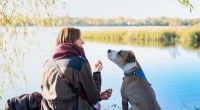 How Well Do Dogs Understand Human Language? - A Psychologist s Perspective