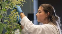 Combating Weed Resistance: Research Insights for a Changing Climate