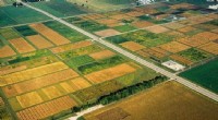 Hyperspectral Imaging for Precise Crop Nitrogen Analysis | University of Illinois