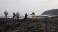 Climate Change Threatens Oregon Coast Ecosystems: New Research