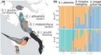 Unraveling Island Bird Histories with Advanced Genetic Analysis