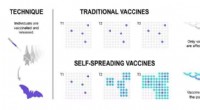 Self-Spreading Animal Vaccines: A New Approach to Population Immunity