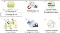Multispecies Amplicon Sequencing for Grassland Plant Genetic Diversity