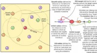Microbial Diversity: New Mathematical Models Reveal Complex Interactions