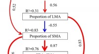 How Root Biomass Influences Soil Microbes and Organic Carbon Storage