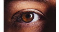 Retinal Protein Discovery Enhances Understanding of Dim Light Vision