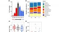 Dietary Implications of Microbiome Differences in Chronotypes