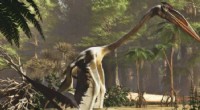 Quetzalcoatlus Northropi: The Giant Flying Reptile That Reminded Scientists of a Heron