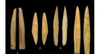 Stone Tools Enabled Human Expansion into Southeast Asian Rainforests - 45,000 Years Ago