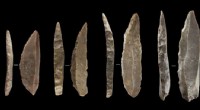 Neanderthal-Human Coexistence: New Evidence of Shared Technology in Europe