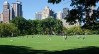 Green Spaces & Crime Reduction: A Study of US Cities
