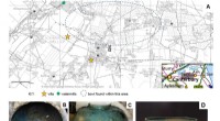 Pesticide Use Accelerates Corrosion on Ancient Roman Bowl – Scientific Reports