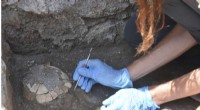 Ancient Tortoise Remains Unearthed in Pompeii Excavations